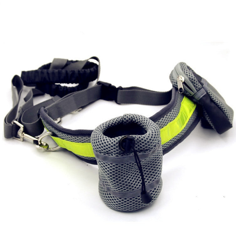 Hands-Free Bungee Dog Leash