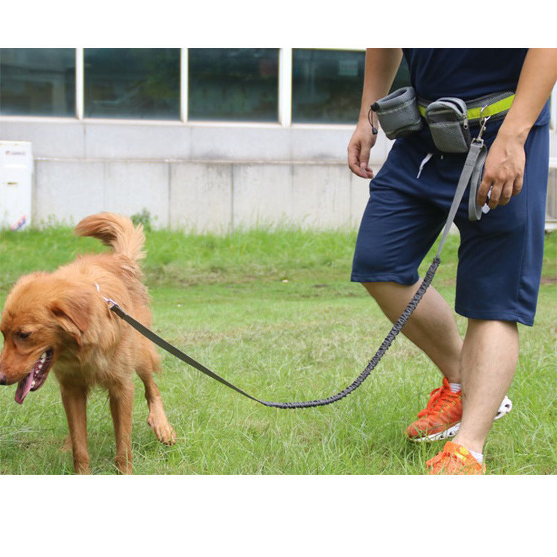 Hands-Free Bungee Dog Leash