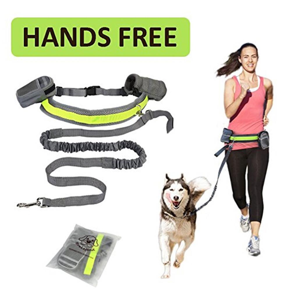 Hands-Free Bungee Dog Leash
